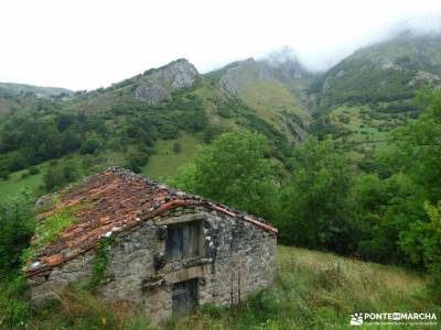 Corazón de Picos de Europa;carros de fuego la selva negra tierra de campos aizkorri mesta